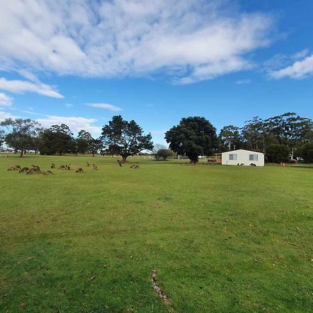 Kalgan River Chalets And Caravan Park Exterior photo