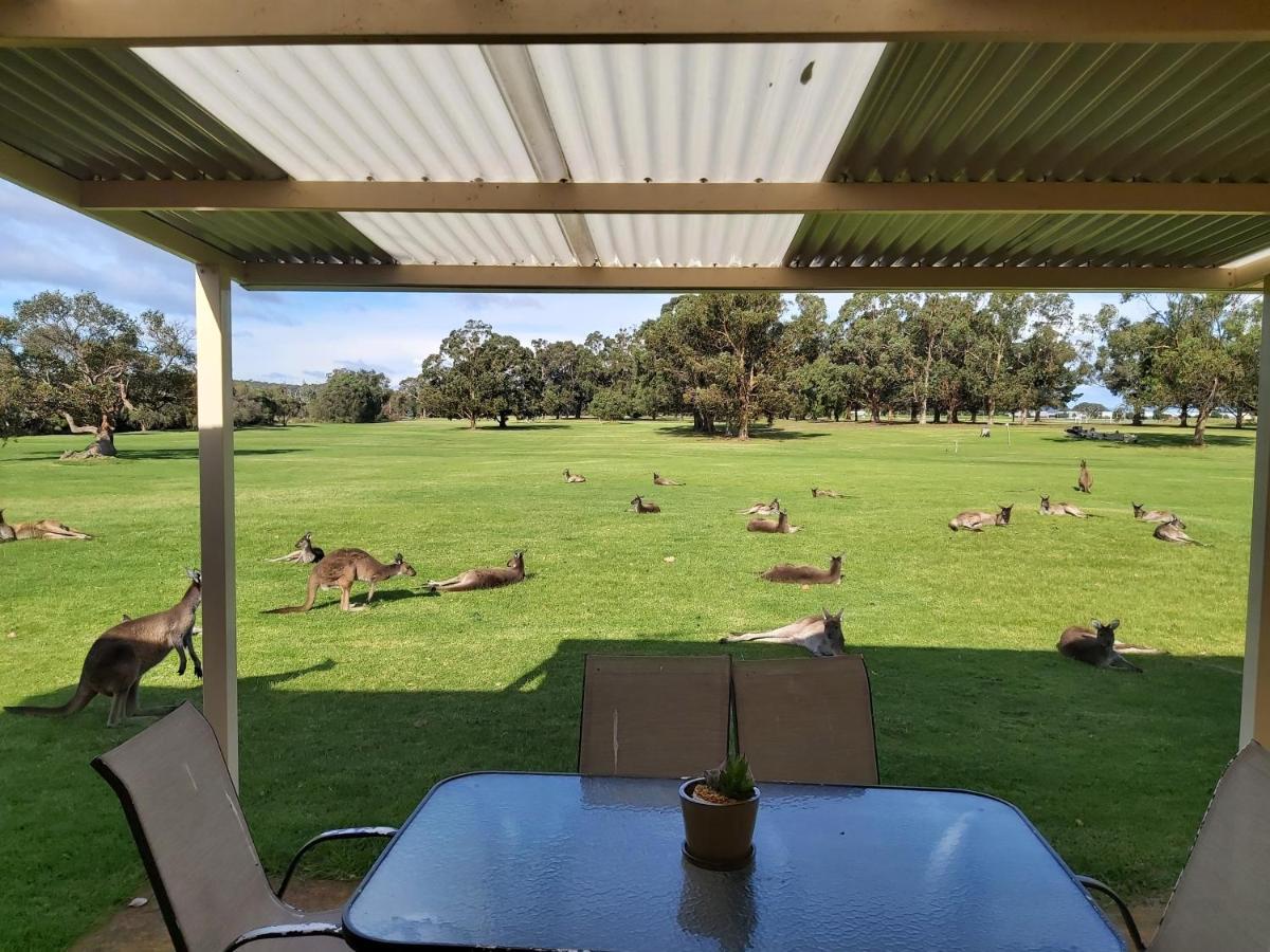 Kalgan River Chalets And Caravan Park Exterior photo