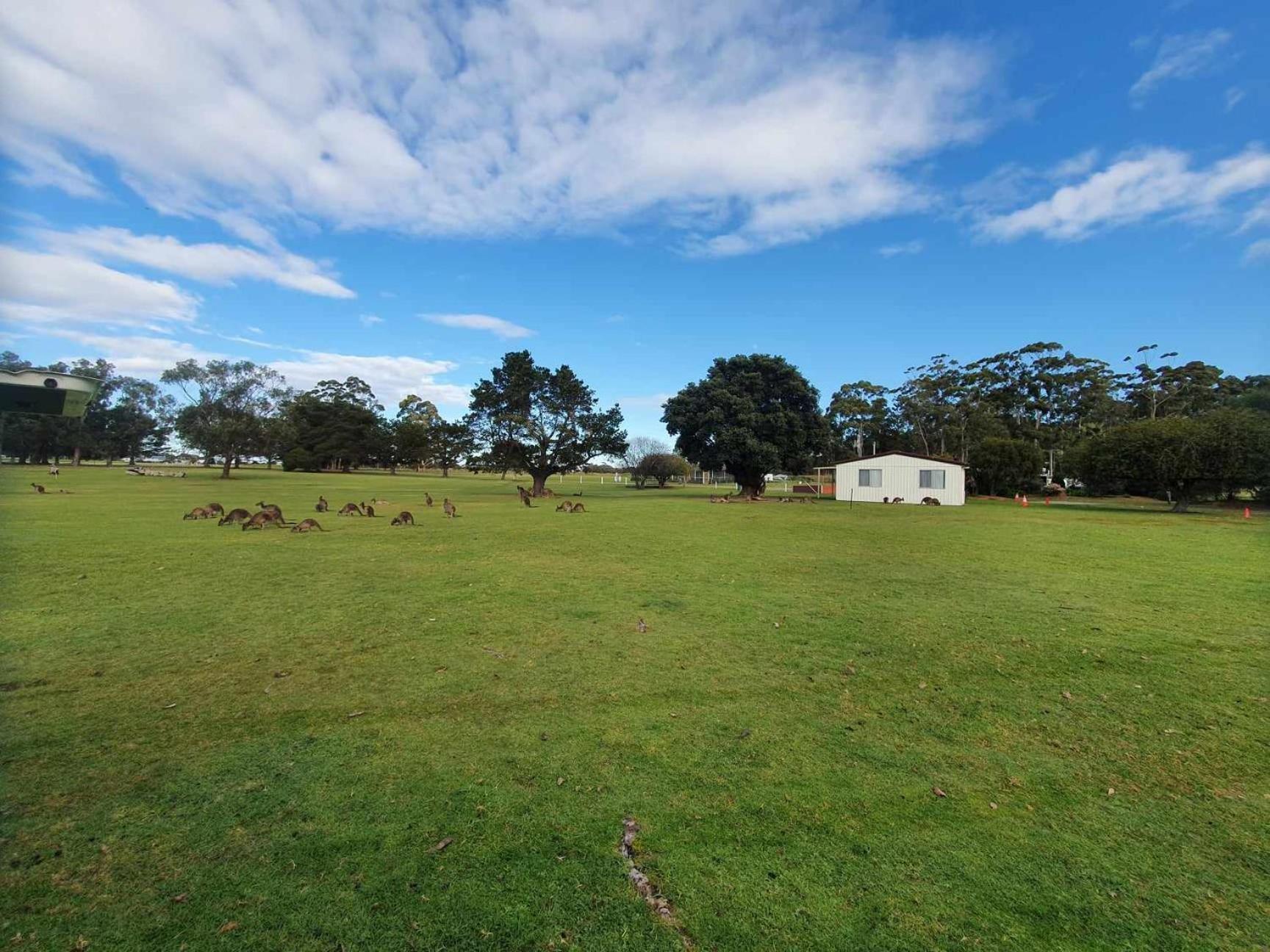 Kalgan River Chalets And Caravan Park Exterior photo