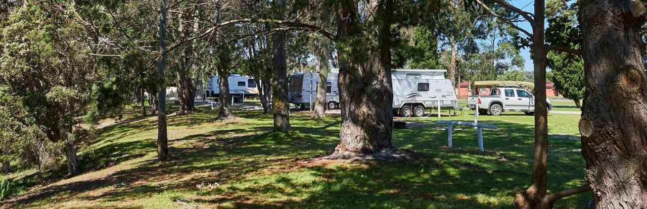 Kalgan River Chalets And Caravan Park Exterior photo